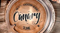 Check out Black Rooster's Canary plug-in