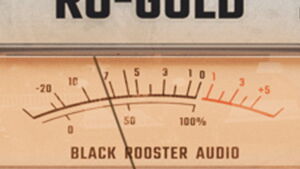 RO-GOLD Plate Plug-In